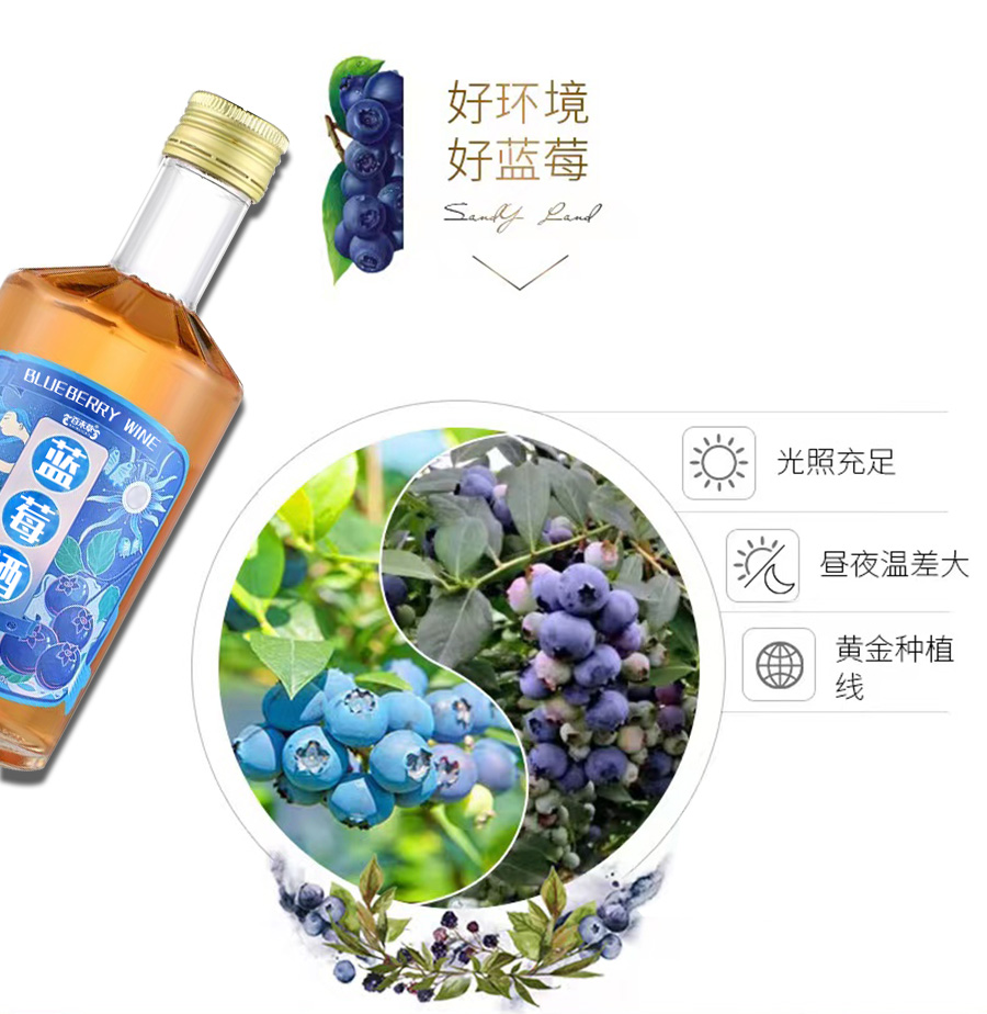 藍(lán)莓酒詳情_02.jpg